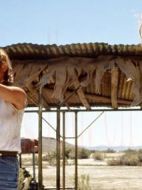 Swinging劇情介紹(1-0全集)