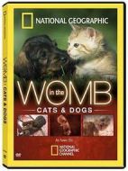 子宮日記：貓與犬劇情介紹(1-2全集)