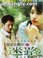 情定大飯店之迷路