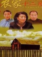 農(nóng)家十二月劇情介紹(1-24全集)