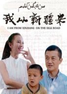 我從新疆來劇情介紹(1-6全集)