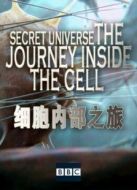 BBC：細(xì)胞內(nèi)部之旅