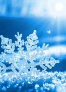 下雪吧！劇情介紹(1-1全集)