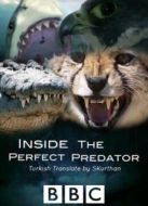 BBC：完美捕食者名錄劇情介紹(1-1全集)