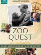 BBC：動物園探奇（彩色版）劇情介紹(1-2全集)