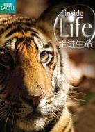 BBC：走進(jìn)生命劇情介紹(1-10全集)