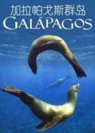BBC：加拉帕戈斯群島劇情介紹(1-3全集)