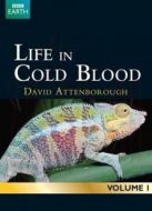 BBC：冷血生命海報