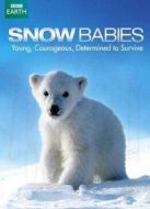 BBC：雪中幼崽劇情介紹(1-1全集)