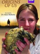 我們的起源劇情介紹(1-3全集)