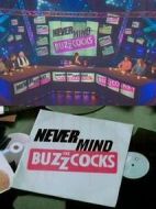 樂壇毒舌嗡嗡雞第十三季劇情介紹(1-9全集)