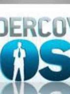 臥底大老板第一季劇情介紹(1-9全集)