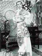 楊門女將劇情介紹(1-30全集)