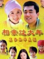 相親過大年劇情介紹(1-3全集)