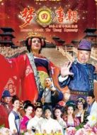 夢(mèng)回唐朝（未刪減版）劇情介紹(1-31全集)