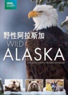 BBC：野性阿拉斯加劇情介紹(1-3全集)
