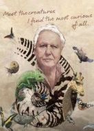 BBC：大衛(wèi)·愛登堡的自然奇跡海報