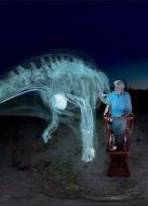 BBC：愛(ài)登堡和巨型恐龍劇情介紹(1-1全集)