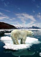 BBC：氣候變化劇情介紹(1-1全集)