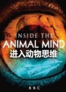 BBC：進(jìn)入動(dòng)物的思維劇情介紹(1-3全集)