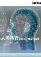 BBC：人類感官