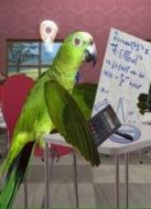 BBC：非凡動物第二季劇情介紹(1-10全集)