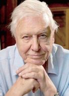 BBC：愛登堡在90歲時劇情介紹(1-1全集)