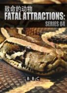 BBC：致命的寵物（第四季）劇情介紹(1-6全集)