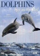 BBC:臥底海豚幫劇情介紹(1-2全集)