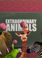 BBC：非凡動物第一季