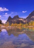 維也納的水源劇情介紹(1-1全集)