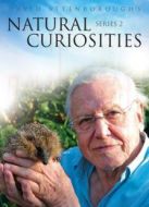 BBC：大衛(wèi)·愛登堡的自然奇趣劇情介紹(1-10全集)