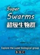 BBC：超級(jí)群體劇情介紹(1-2全集)