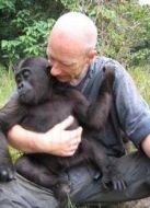 BBC：再次探訪猩猩