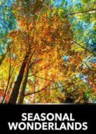 BBC:變化的世界劇情介紹(1-3全集)