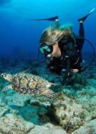 BBC：潛入加勒比劇情介紹(1-1全集)