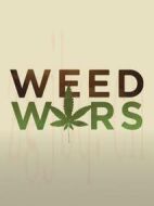 大麻戰(zhàn)爭(zhēng)劇情介紹(1-全集)