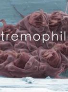 地獄中的生命劇情介紹(1-4全集)