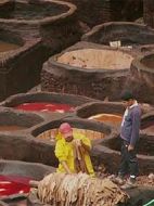 非洲失落的帝國(guó)第二季劇情介紹(1-4全集)