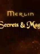 梅林傳奇之魔法秘境劇情介紹(1-14全集)