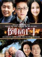 新上門女婿劇情介紹(1-25全集)