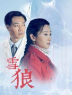 雪狼劇情介紹(1-25全集)
