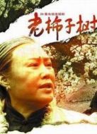 老柿子樹劇情介紹(1-26全集)