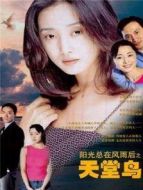 陽光總在風(fēng)雨后Ⅰ天堂鳥劇情介紹(1-20全集)