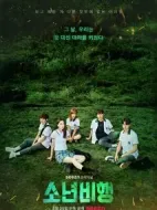 少年不良劇情介紹(1-0全集)