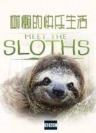 BBC：樹懶的快樂生活