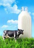 透視牛奶劇情介紹(1-2全集)