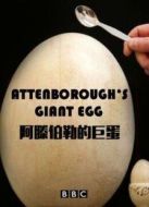 BBC：大衛(wèi)·愛登堡的巨蛋