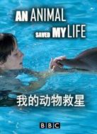 BBC：我的動(dòng)物救星劇情介紹(1-6全集)