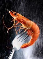 BBC：捕蝦的價(jià)值